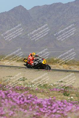 media/Feb-04-2023-SoCal Trackdays (Sat) [[8a776bf2c3]]/Turn 15 Inside Blooming (1050am)/